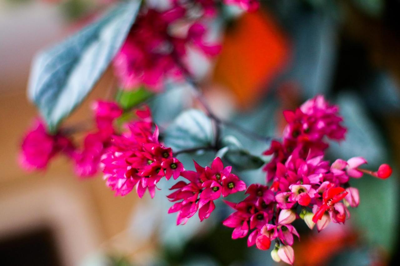La Gloria House Apartment อิลญาเบลา ภายนอก รูปภาพ
